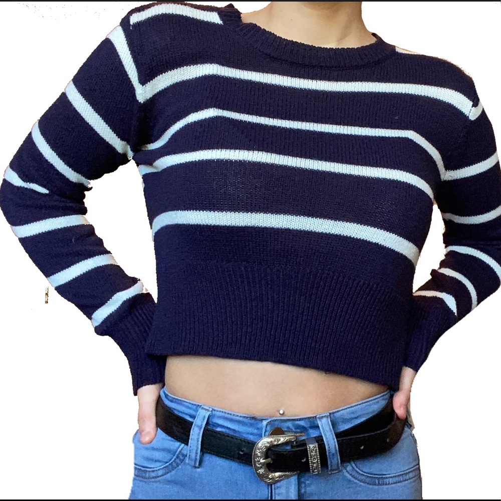 Tilly’s blue striped cropped sweater